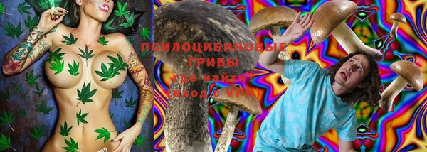 дживик Зеленодольск