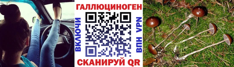 Галлюциногенные грибы Psilocybine cubensis Сафоново